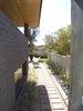 Mullion less butt-jointed glazing was used on the north facade to strengthen the connectivity with the outdoors and provide unfettered views. A large steel beam spans across the space supporting the roof making the roof appear to float over the mullion-less glass below. Photo 5 of The Silvertree Residence modern home