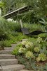 Floating out into the canopy of a large native Oak, the "bridge to somewhere" affords unexpected view of the hillside garden which falls away from the house. Photo of Pasadena Hillside modern home