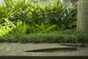 In a glassy courtyard at the heart of the house, the orchid-like flower of the adjacent Silk Floss tree found it's way, in abstract form, into the concrete seatwall/fountain. Photo 6 of Pasadena Hillside modern home