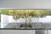 Modern home with Kitchen. White birches play off the white walls in a narrow courtyard just beyond the kitchen. Photo 3 of A New Stage