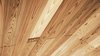 The intricacy of roof paneling is seen in this close-up detail of the Yoshino Cedar House ceiling. Photo 7 of Yoshino Cedar House modern home