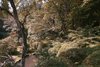 Modern home with Outdoor and Trees. A scenic view of the wild, natural landscape in Yoshino, a city in the Nara region of Central Japan. Photo 12 of Yoshino Cedar House