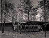 Modern home with Outdoor, Back Yard, Side Yard, Woodland, Trees, Stone Patio, Porch, Deck, Pavers Patio, Porch, Deck, Walkways, Horizontal Fences, Wall, Wood Fences, Wall, Landscape Lighting, and Vertical Fences, Wall. The Peter Carras Residence1961 (Dow Test House) Photo 3 of The Peter Carras Residence 1961 (Dow Test House) by Alden B. Dow