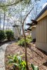 Along Schechter's paved path in the side yard, the massive chimney appears as a beacon in the back yard. Photo 5 of Mid-century Modern Gathering Space modern home
