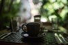 Modern home with Outdoor and Side Yard. Morning coffee on patio Photo 11 of La Llave del Golfo Airbnb