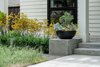 Large bowls for succulent collecting Photo 13 of Refreshing Bungalow modern home