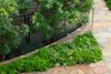 Modern home with Outdoor, Shrubs, Stone Patio, Porch, Deck, and Hardscapes. Planting suitable to the ocean environment are woven throughout the composition Photo 9 of On the Edge
