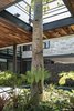 The tree Photo 19 of Casa Kalyvas modern home