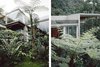 Modern home with Outdoor, Trees, Rooftop, and Shrubs. As a passionate environmentalist, Sevilla designed the hotel so that guests can interact with nature, not shield themselves from it. "The idea of using a vast amount of glass was born out of the wish that our guests feel connected with the forest at all times," Sevilla says. "We never planned to compete with nature. We rather expect to provide a perfect complement for the wonders that can be found in the Reserve." Photo 7 of Mashpi Lodge