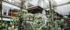 Modern home with Outdoor, Shrubs, and Trees. And wonders there are: I witnessed the region’s biodiversity on my daily excursions with Mashpi’s guides. Bird lovers can experience hummingbirds in their natural habitat, as hundreds of them congregate around the lodge. A step up from zip lining, adventurers can sky bike almost 700 feet across the forest’s roof, peering down over a gorge where rivers flow between rocks and trees. To get your primate fix, you can walk the Howler Monkey trail to Mashpi’s Life Centre, where you can view a number of species from the comfort of the lodge’s expansive wooden deck. Once inside, the butterflies that inhabit the region swarm. Photo 8 of Mashpi Lodge