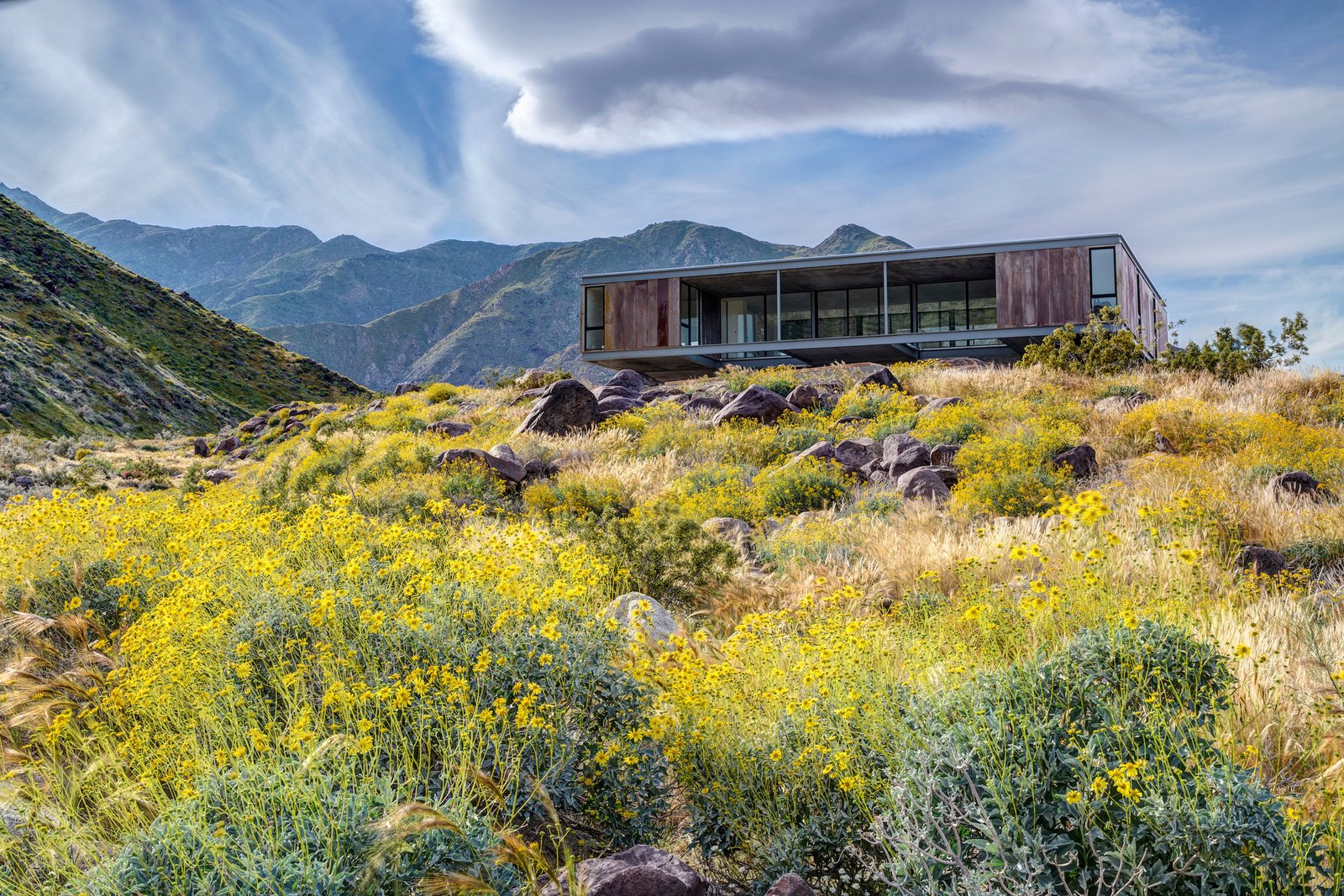 The Beadle House appears to float above the landscape, set upon a pedestal-like foundation.