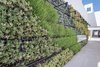 Modern home with Outdoor. The living, green wall welcomes residents home to the central, open-air courtyard. Photo 5 of It’s All About The Light at AIRE Santa Monica