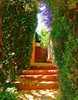 Modern home with Outdoor, Side Yard, Garden, and Walkways. A charming brick pathway leads to the backyard. Photo 2 of A Charming 1920s Spanish in West Hollywood's Storied Norma Triangle