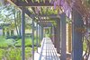 Modern home with Outdoor. Wisteria-covered porticos offer balance between the natural and built environment. Photo 5 of A Michael Palladino-Designed Modernist Estate in California’s Santa Ynez Valley