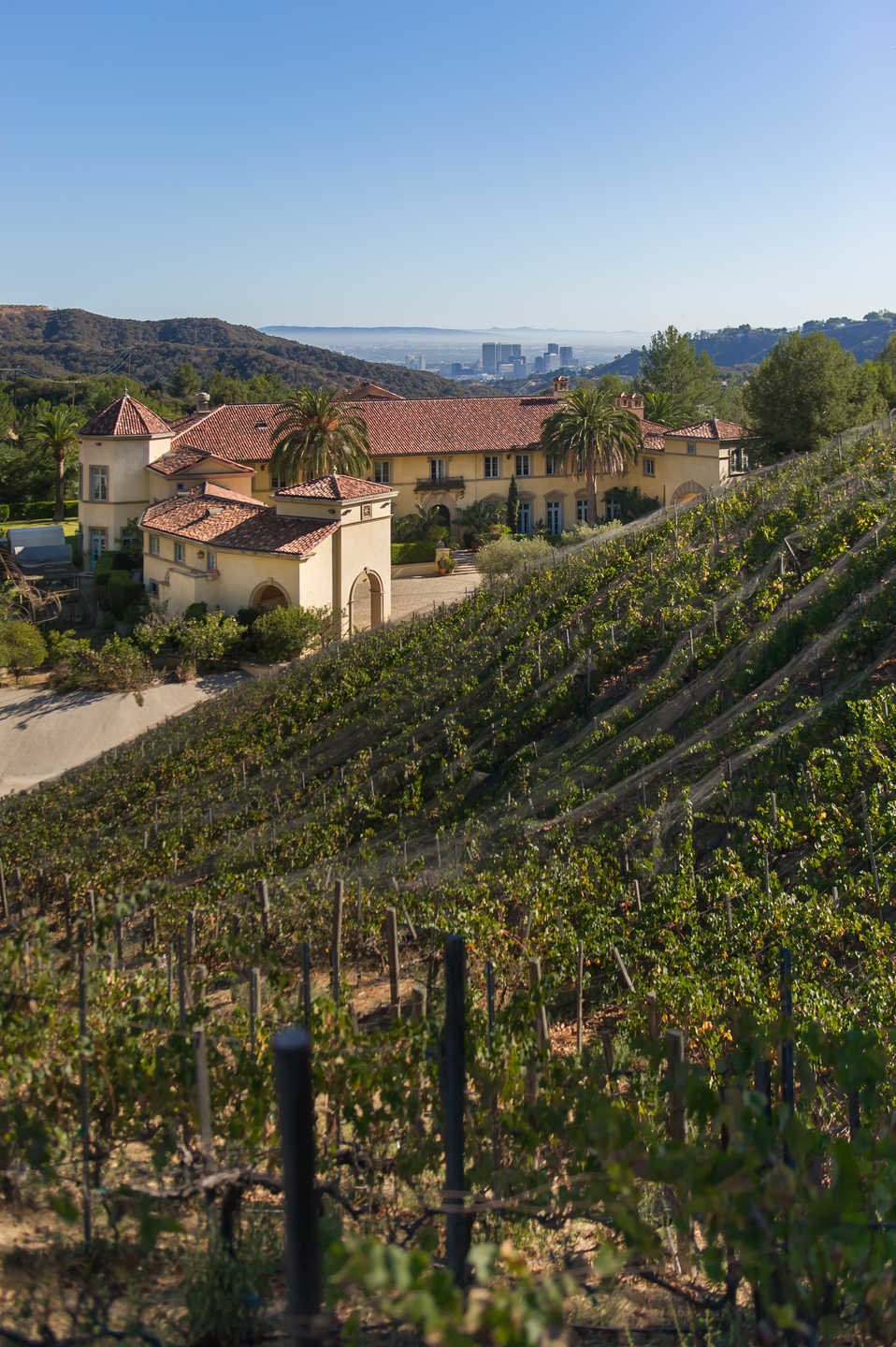 Gallery Detail: Photo 14 Of 15 In An Exquisite Tuscan Vineyard Estate