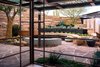 Kiva Courtyard Photo 2 of Saguaro Ridge/Orem Residence modern home