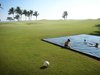 Modern home with Outdoor, Swimming Pools, Tubs, Shower, Garden, and Gardens. Pool, loking to the Gulf Course Photo 3 of La Caracola Beach House