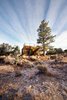 Garage with View Deck Photo 7 of Capitol Reef modern home