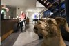 Modern home with Kitchen, Concrete Backsplashe, Recessed Lighting, Wood Cabinet, and Engineered Quartz Counter. old friend - art piece Photo 6 of Governors Plaza