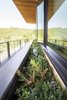 Modern home with Outdoor, Raised Planters, Back Yard, and Flowers. Built-in window boxes thrive with light loving succulents. Photo 11 of Red Hawk