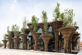 The Vietnam Pavilion at the Milan Expo 2015, which comprised of 46 bamboo "trees." 