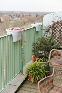 Above, the chair is from Made, and the flower pots are from Habitat.