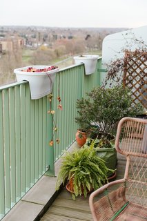 Above, the chair is from Made, and the flower pots are from Habitat.

