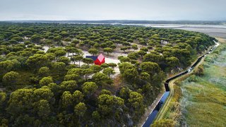 House 3000 is set within a maze-like sea of trees.