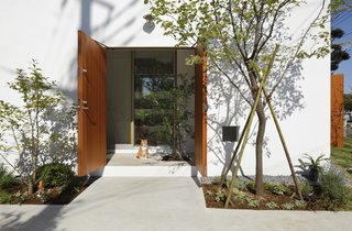 Doors, Exterior, Wood, and Swing Door Type The Inside Out residence has narrow, sheltered ledges along its perimeter where cats can nap in the sun. 