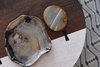 Modern home with Living Room, End Tables, Medium Hardwood Floor, and Ceiling Lighting. Petrified Wood in Living Room Detail Photo 19 of Bahamian Retreat