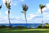 Backyard Photo 16 of Bahamas Style modern home