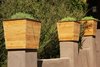 Cedar planter boxes
Photo 6 of California Contemporary Home modern home