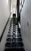 Modern home with Staircase, Metal Tread, and Metal Railing. Stairs to rooftop deck Photo 10 of The Sleeve House