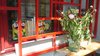 Modern home with Exterior, Windows, Metal, and Picture Window Type. Window of first floor Photo 6 of " Rock Sparrow house" A loft with Chinese style in hutong