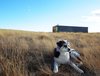 Modern home with Outdoor, Field, Grass, Wood Patio, Porch, Deck, and Landscape Lighting. "Blue"... King of the hill. Photo of Little Box on the Prairie