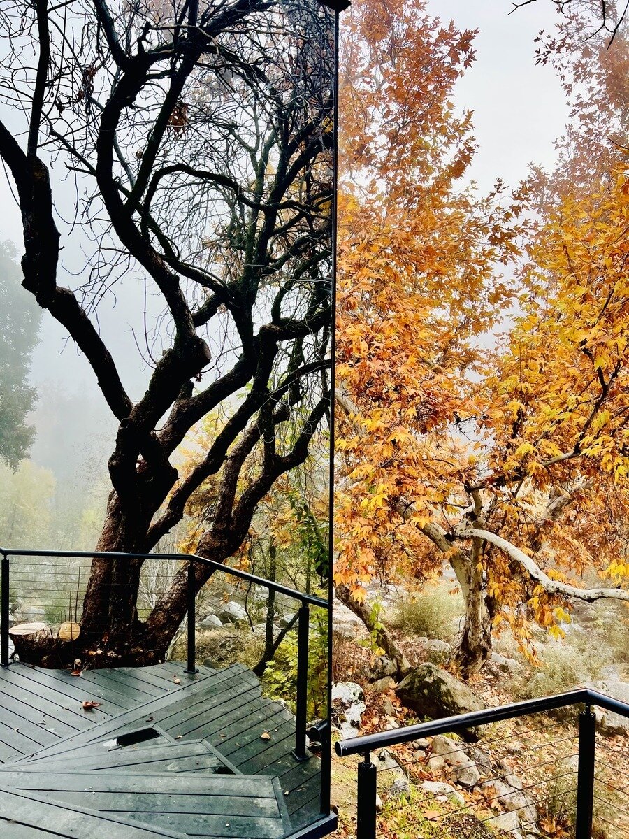 Picture of Rural, Sustainable, Off-grid Property and Agents - SurvivalRealty.com