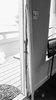 (Thieves paid a visit one night during the year that Project Willow lay dormant.) Photo 8 of Project Willow, West Oakland modern home