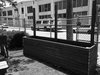 Modern home with Outdoor, Front Yard, Trees, Garden, Flowers, and Wood Fences, Wall. Front zen garden planter boxes taking shape. Photo 2 of Project Willow, West Oakland