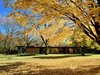 Modern home with Exterior, Gable RoofLine, House Building Type, Wood Siding Material, and Brick Siding Material. Project II Mid-century Modern Bootleg Keck & Keck? Photo 10 of Town & Country