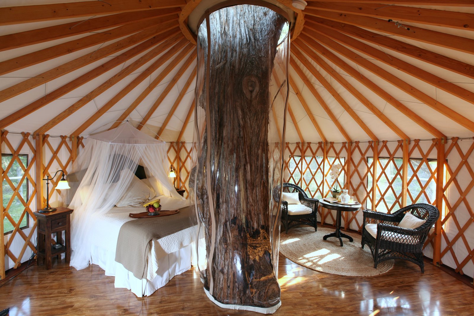 Photo 8 of 16 in Experience Tree-Top Living at One of These Sustainable ...