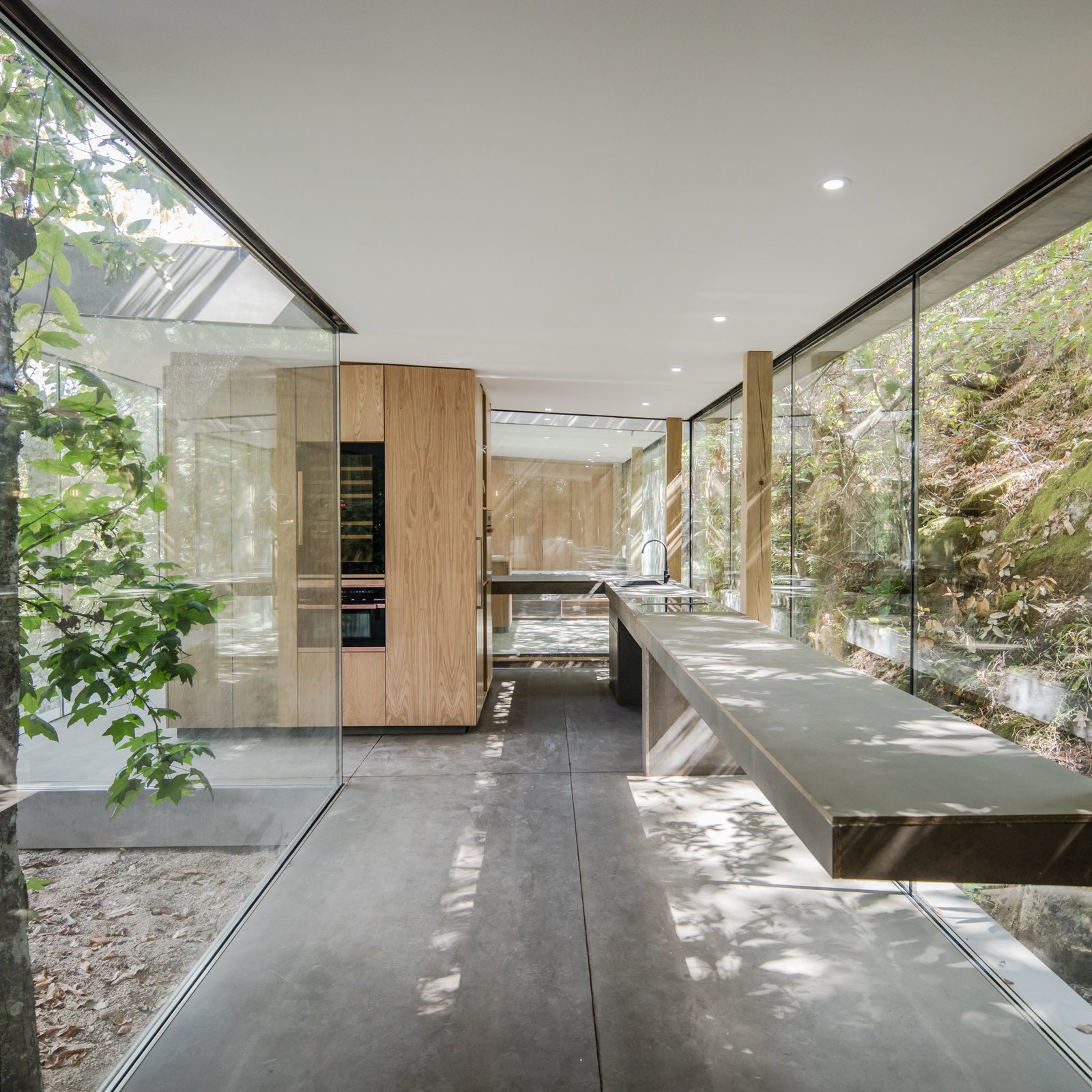Photo 9 of 15 in A Portuguese Glass House Uses Surrounding Foliage as a ...