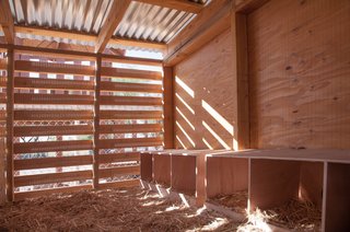 Boxes where the chickens can nest and lay eggs are located on one side of the coop.