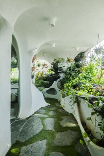 The apartment's windows and doors feature curved and irregular apertures.