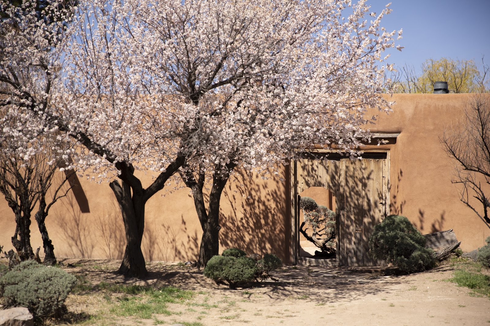 Visitors can take a trip to Georgia O'Keeffe's former home and studio in Abiquiu, New Mexico, and get a sense of the landscape and surroundings that inspired her.   