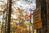 Modern home with Outdoor, Woodland, and Trees. The 124 acre Pilot Cove property shares a one mile contiguous boundary with Pisgah National Forest. Hundreds of miles of trails can be accessed from various trail heads very near Pilot Cove. Photo 13 of Pilot Cove : Forest Lodging