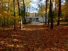 The house is located at the end of a quarter-mile long driveway through the forest. Photo 4 of Phelps Residence modern home