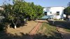 BEFORE Photo 7 of The Keniston modern home