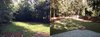 landscaper Photo 12 of Landscaping modern home