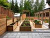 Modern home with Outdoor, Back Yard, Stone Patio, Porch, Deck, Raised Planters, Vegetables, and Wood Fences, Wall. Back yard, overlooking the raised planters vegetable garden Photo 7 of Port Moody Makeover