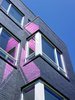 Iron spot brick and window detail. Photo 6 of 10th Street Duplexes modern home